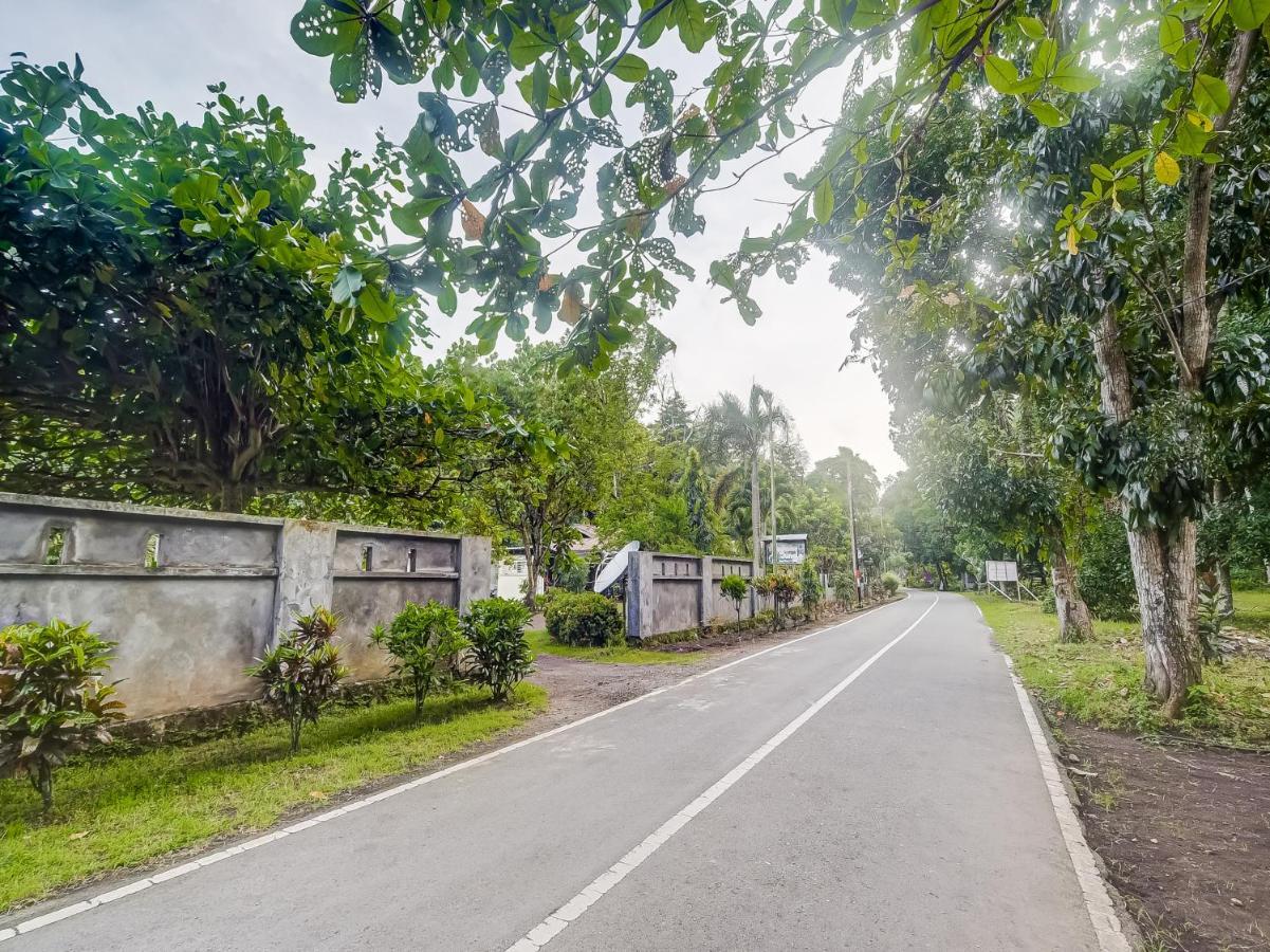 Oyo 90988 Tangkoko Jungle Homestay Rinondoran 외부 사진