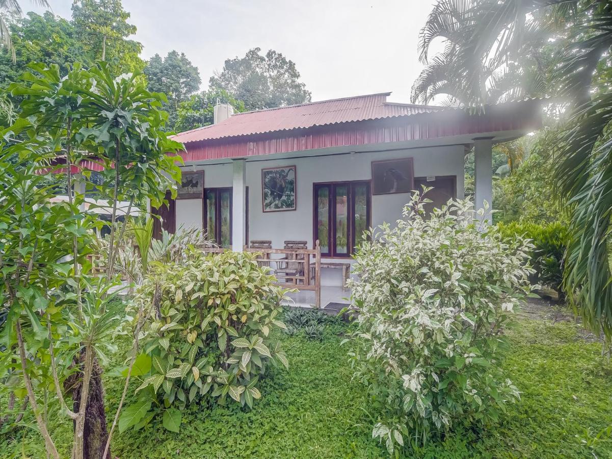 Oyo 90988 Tangkoko Jungle Homestay Rinondoran 외부 사진