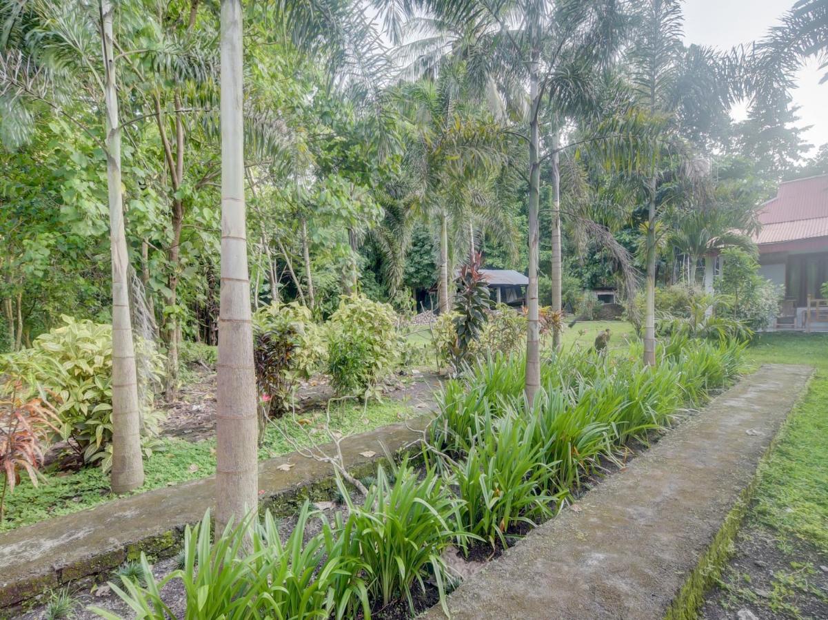 Oyo 90988 Tangkoko Jungle Homestay Rinondoran 외부 사진