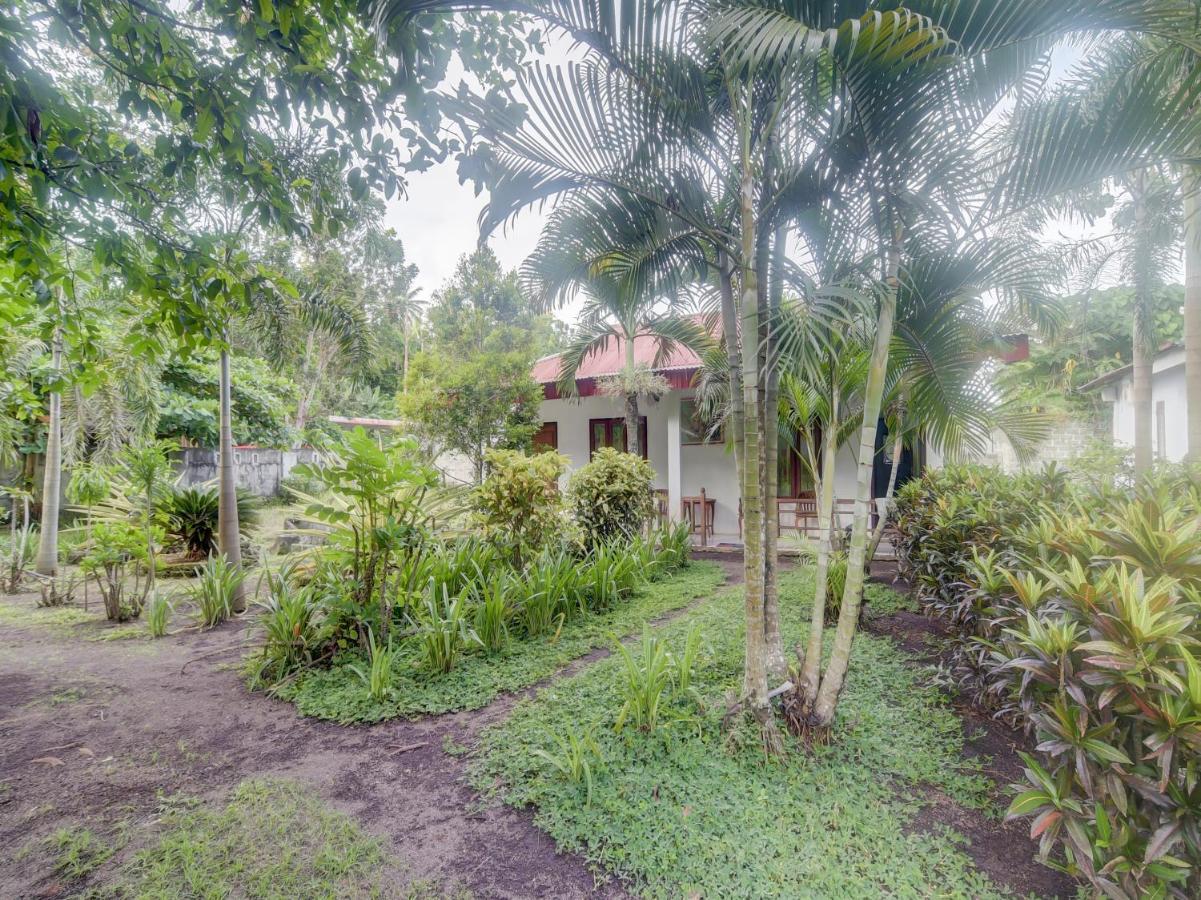 Oyo 90988 Tangkoko Jungle Homestay Rinondoran 외부 사진
