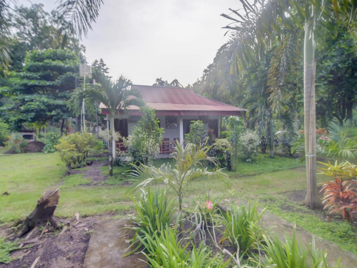 Oyo 90988 Tangkoko Jungle Homestay Rinondoran 외부 사진